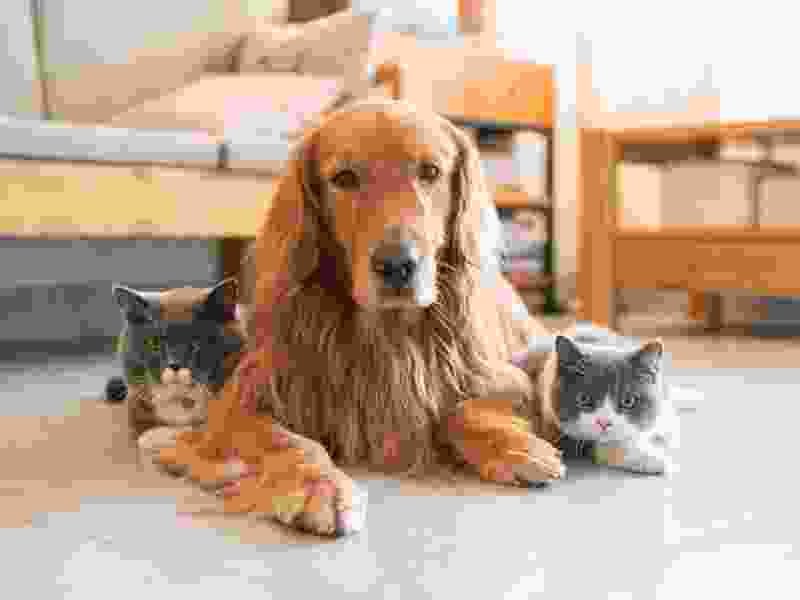 service-details-img-02